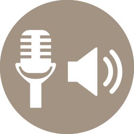 VC basic mic and audio